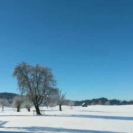Herzberger * Scheidegg
