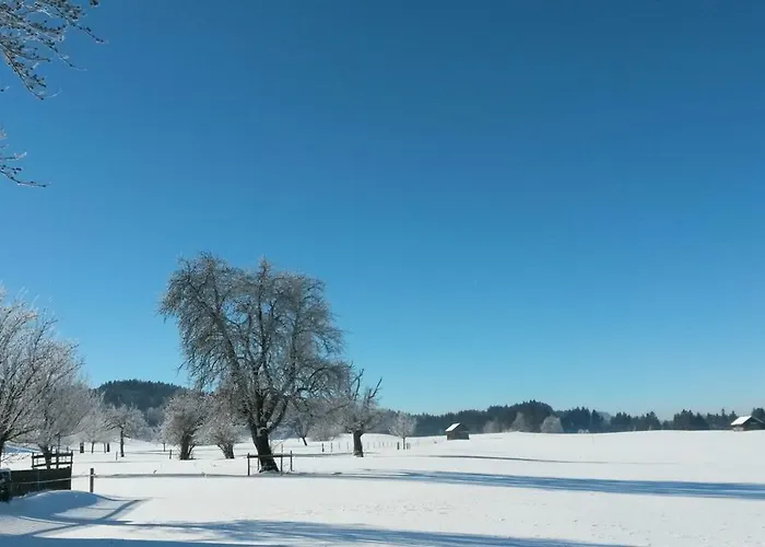 Herzberger * Scheidegg
